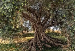 (2)114