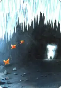 43
